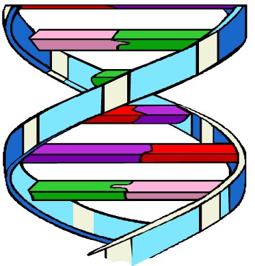 conceptual framework