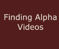 FindingAlpha